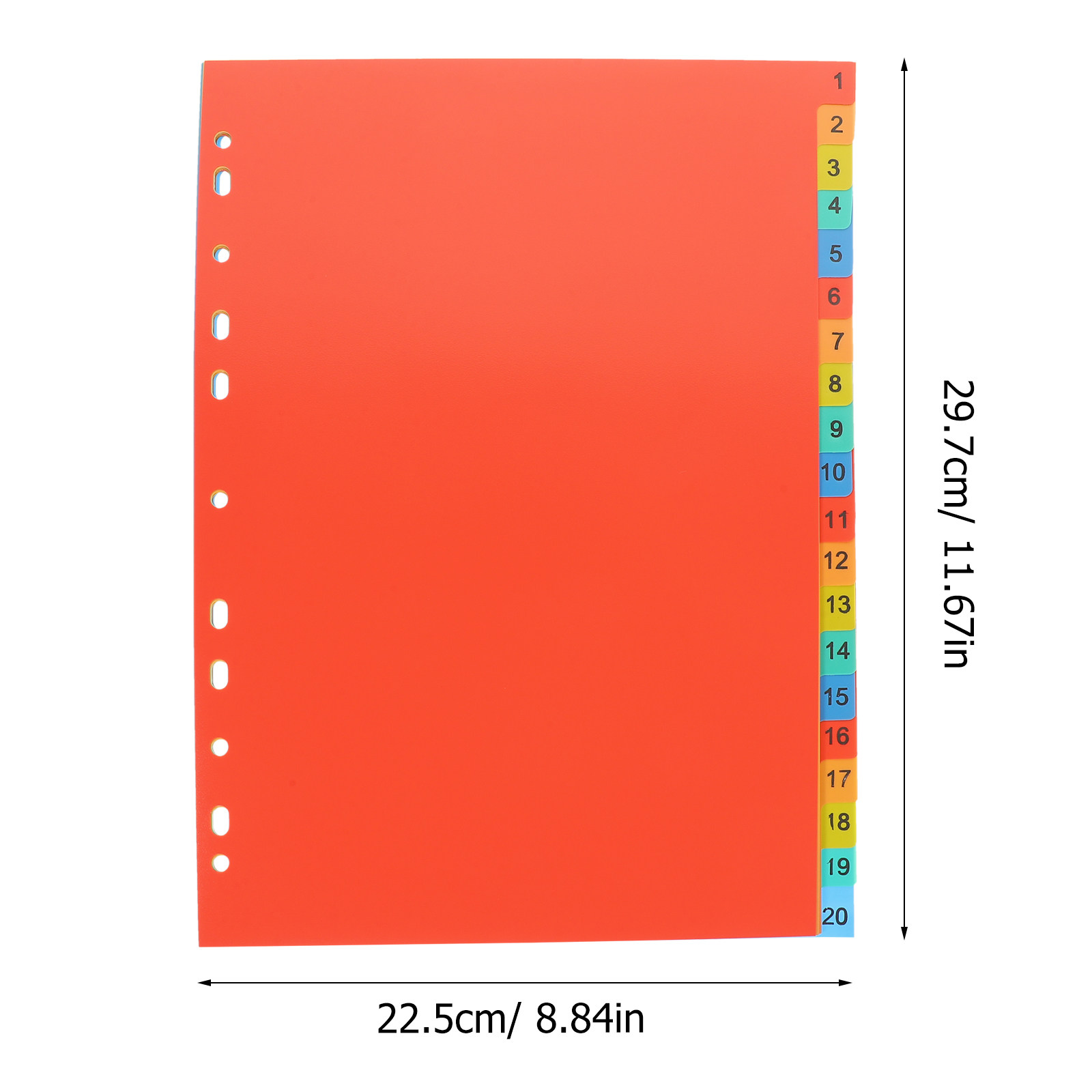 20 Adet A4 Etiketli Bölücü, Of - Tab Divider A4 incelemesi ve fiyatı